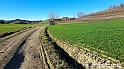 20230110_150358 - Dalla terra... il grano